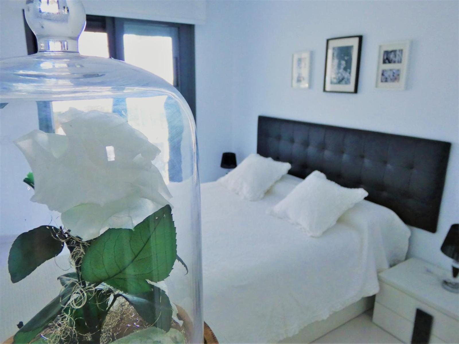 Ocean View Apartment Arenales del Sol Exterior photo